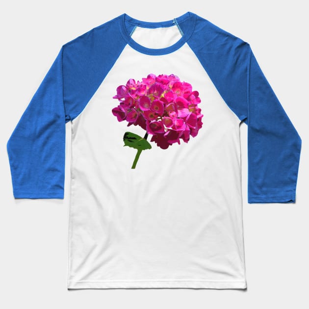 Pink Hydrangea Flower Baseball T-Shirt by Truely Memorable Gifts